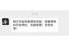 嵩县嵩县的要账公司在催收过程中的策略和技巧有哪些？